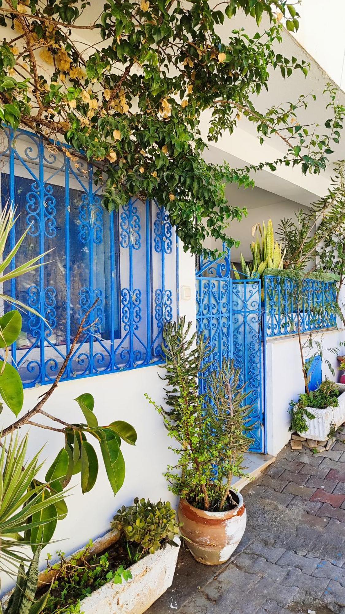 Cosy Appartement In "Sidi Bou Said" Exteriör bild