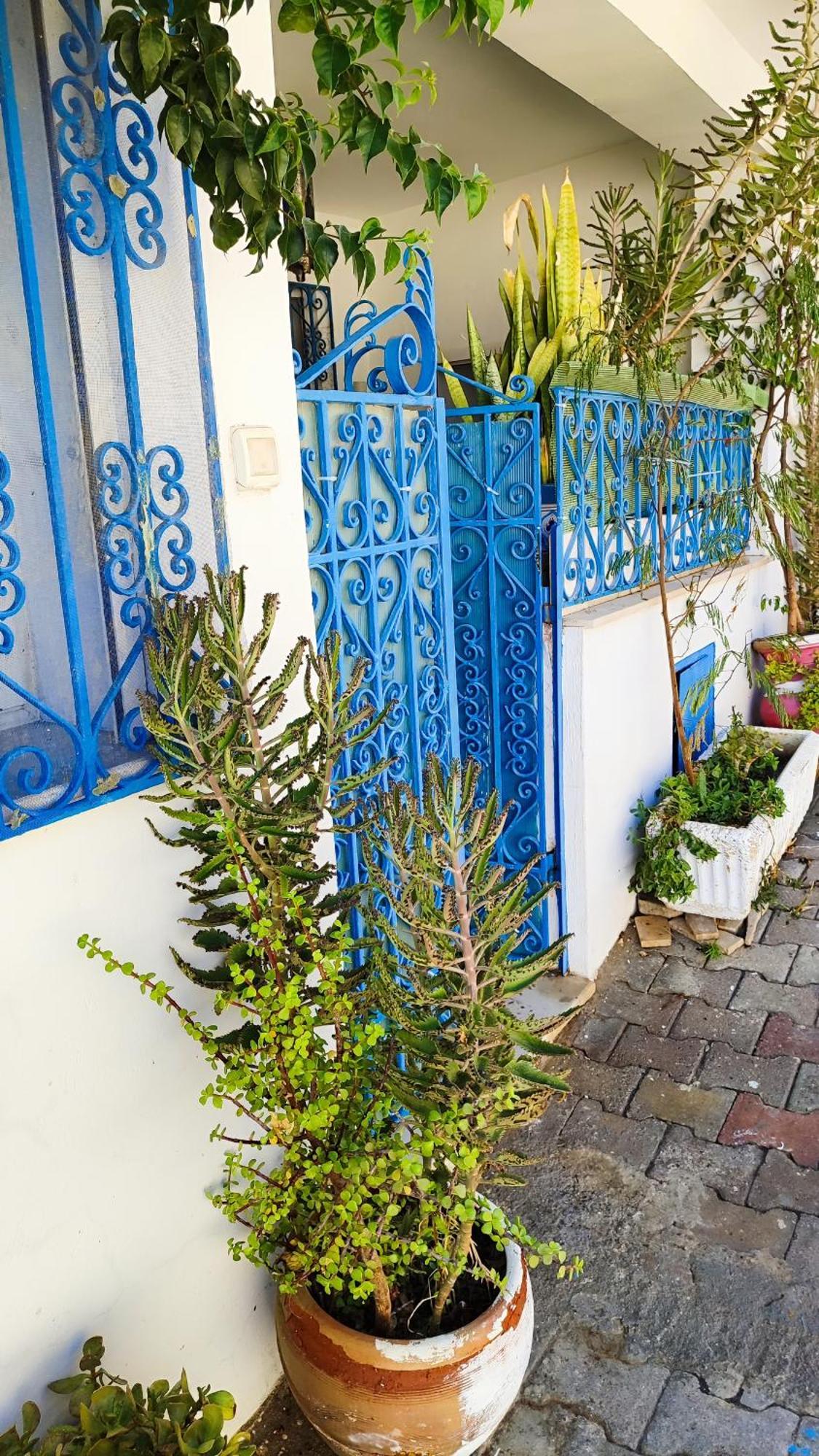 Cosy Appartement In "Sidi Bou Said" Exteriör bild